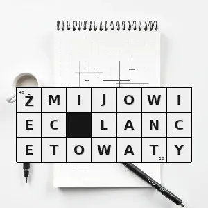 Hasło krzyżówkowe echium plantagineum gatunek rośliny z rodziny ogórecznikowatych - żmijowiec lancetowaty – rozwiązanie, synonimy, podpowiedzi i definicje krzyżówkowe